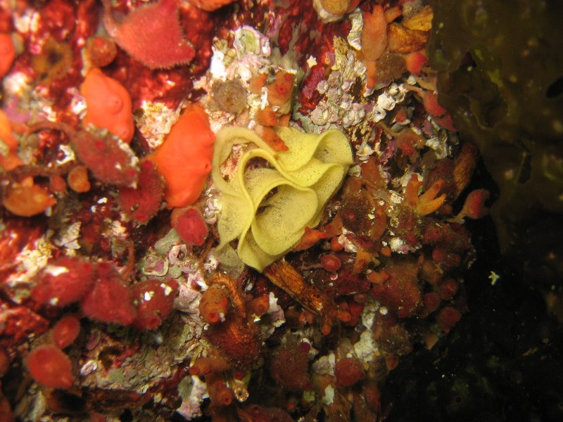 ../Images/DSechelt 018.jpg